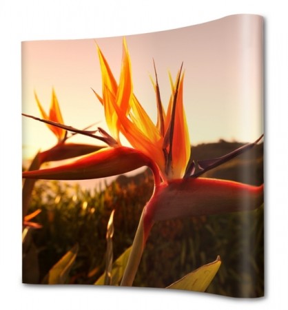 Pop-up Magnet uten fotopanel - Buet